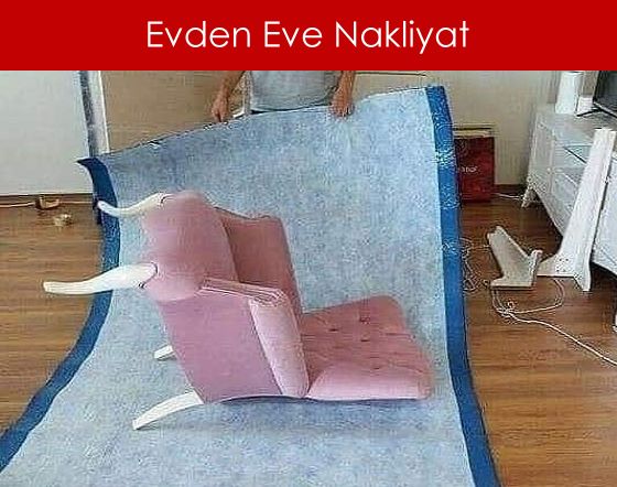 evden eve